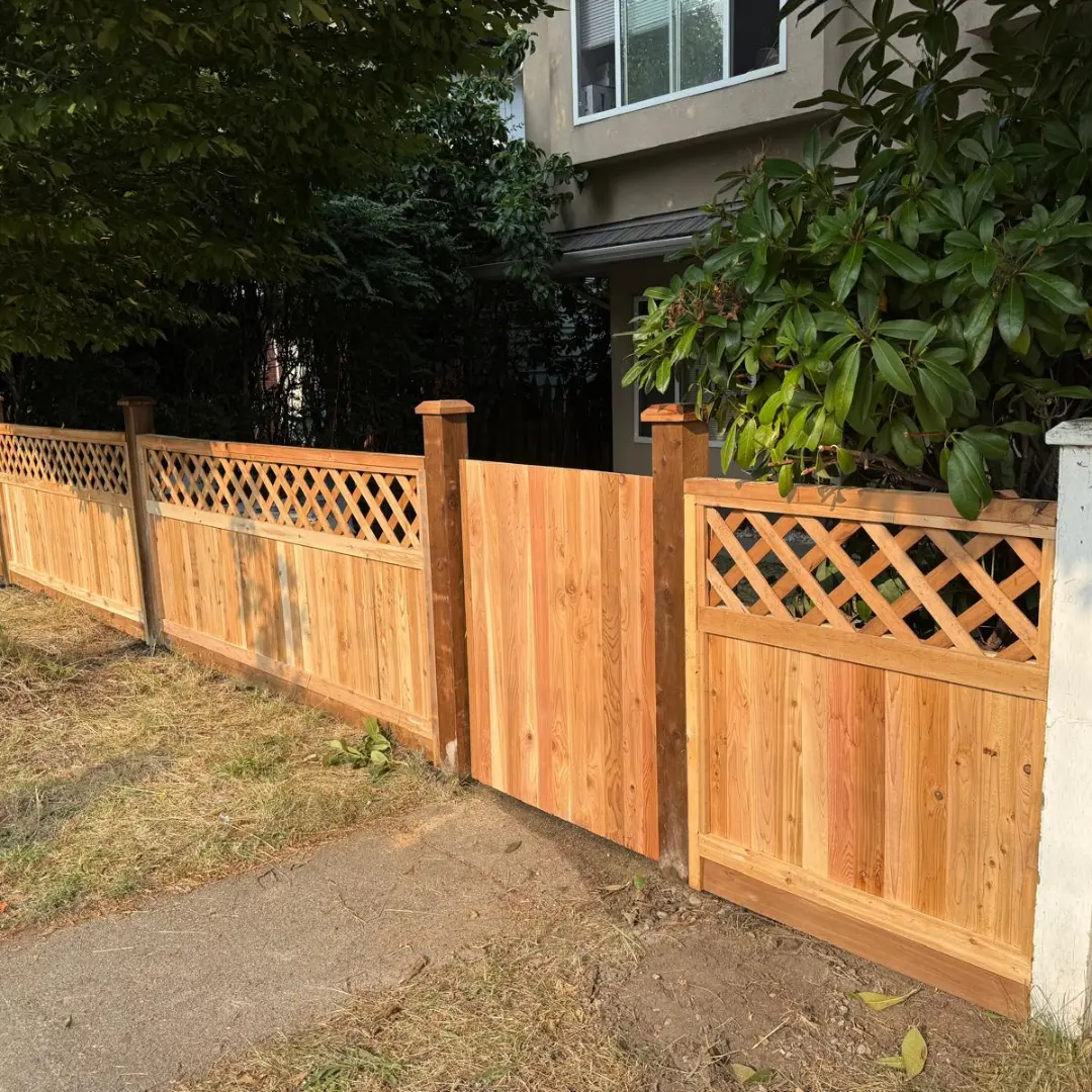 Cedar Fence